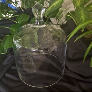 Large 11” Elegant Glass Cloche Dome